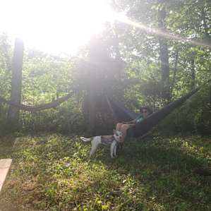Perfect hammock trees