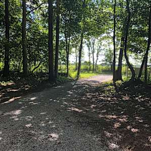 Hidden Woods--Tent Site #1