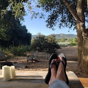 Sitting on the deck beautifully doing absolutely nothing.