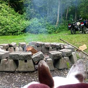 Cedar River Cabin