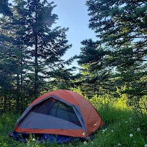 Far North Escape