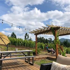 Vineyard by day, Stars at night!