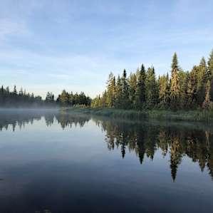 Early morning mist