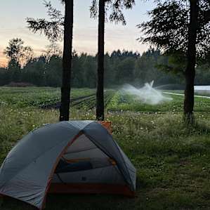 My camp spot
