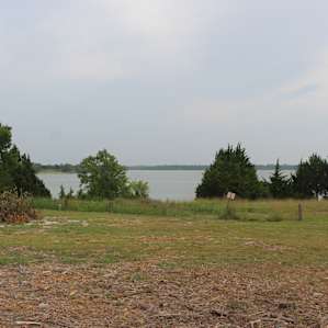Lakefront Paradise Tent Site