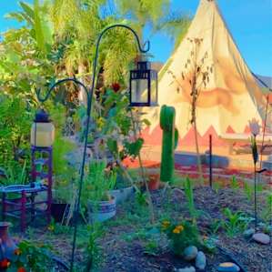 Tipi