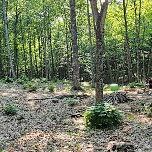 Pelissier Lake North Shore