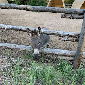 ELEVATED WESTERN CREEKSIDE CAMPING
