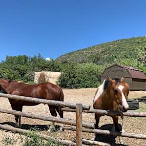 ELEVATED WESTERN CREEKSIDE CAMPING