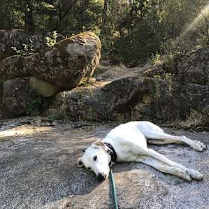 Rocks near the river. Bring a camping chair for yourself for ultimate relaxation!