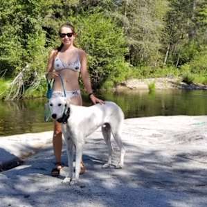 Cosumnes River Cabin Camp