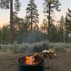 Campsite 47