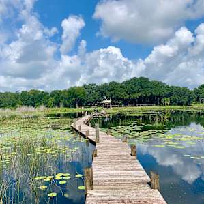 Live Oak Cove : Loft