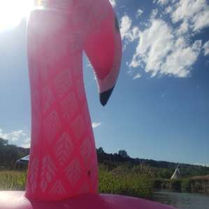 Rental flamingo floating island onsite was great!