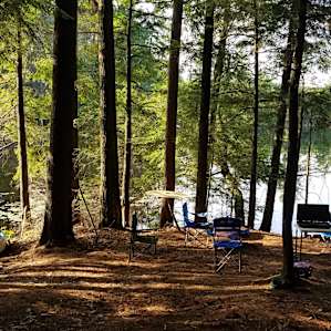 Camp Escape: The Woods