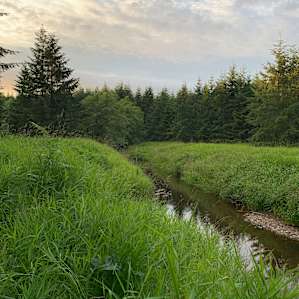 Elk Creek 15