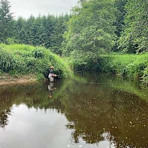 Elk Creek 15