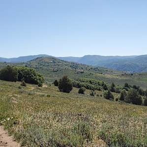 Retro Star Ranch - The Knoll