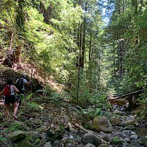 Hike down to the stream