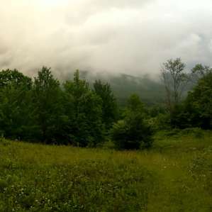 TripleCreek