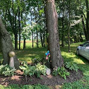 Celesta's Grove