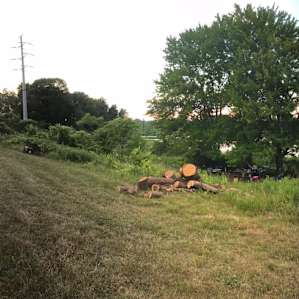 We were totally set for firewood for the weekend!! Enough bush also to easily get the fire started in the area!!