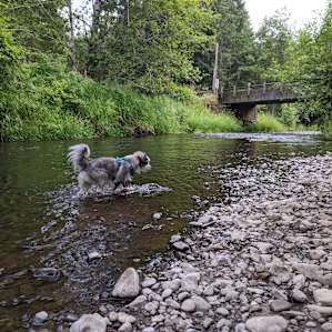 Elk Creek 8