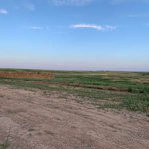 Peaceful Pasture