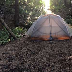 beond organic Nirvana river retreat