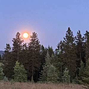 Another full moon shot