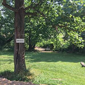 View of the site from the parking spot. The site included all of the grass between the tree and the picnic area.