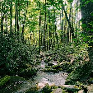Nearby hiking trail