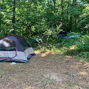 We cleared some brush to make a perfect hammock setup behind our tent.