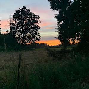 Summer bliss on the farm #1