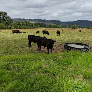 Kings Valley Farm Stay