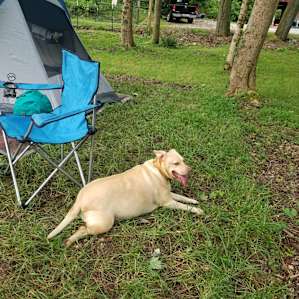 Basecamp at Camp Mtn. Lake Retreats