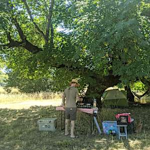Main Stage Camp