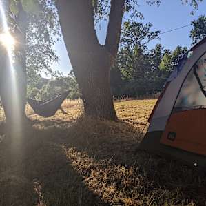 Main Stage Camp