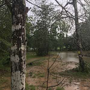 Loved listening and watching the rain from the porch.