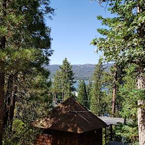 View from the site