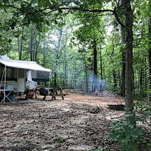 Bar Fifty RV Park & Campground