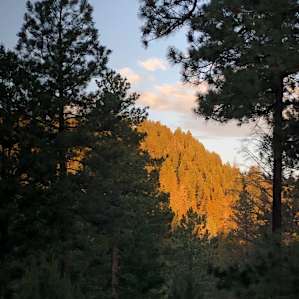 Edge of the Rez