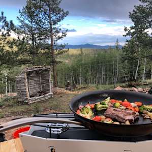 3-Acre Aspen Filled Campsite