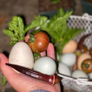 Beautiful bounty!