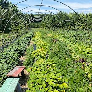 Shine and Rise Organic Farm