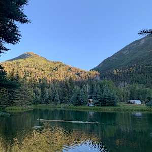 Beaver and the mountains!