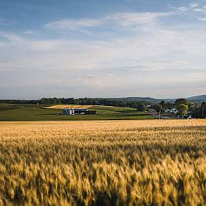 Just over the line of trees by the campsite sits the neighboring farm, which made for spectacular sunset photos