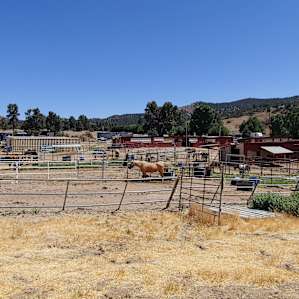 Horse ranch in the mountains