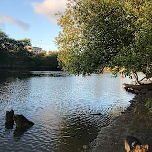 Foley's River Camp