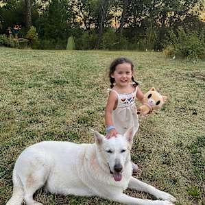 Kane, the Tillicum Camp Dog